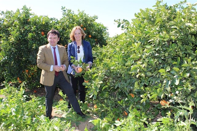 Andalucía valora la unión de agricultores