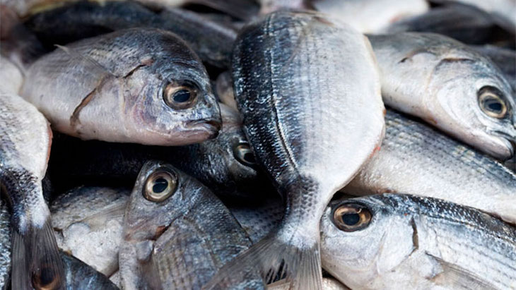 Qué pescado me como