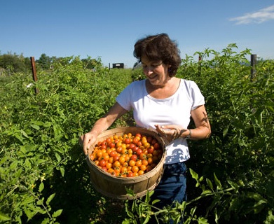 La Unión Europea consulta sobre la regulación de la agricultura ecológica