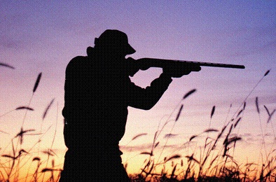 Riesgos del consumo de carne cazada con plomo