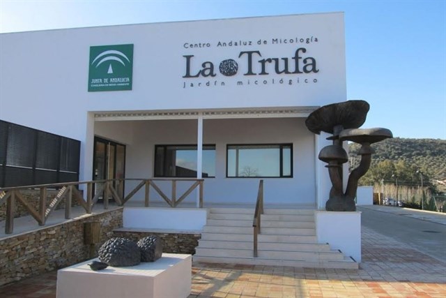 Andalucía organiza talleres y actividades en Jardín Micológico La Trufa