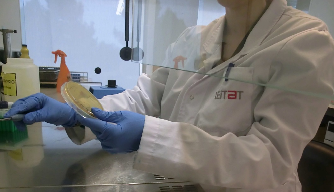 La Fundación Caja Rural del Sur ha desarrollado