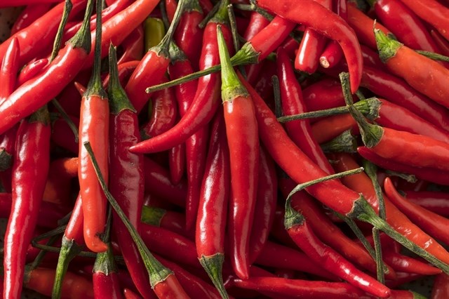 Chile rojo contra la obesidad