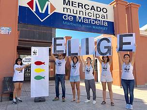 Por un consumo responsable de pescado y marisco para garantizar un futuro al océano