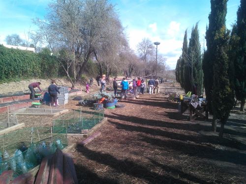 Pozuelo de Alarcón amplía a dos domingos los días para participar en los ‘Huertos en Familia’