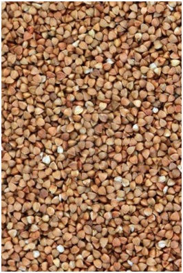 Conoces las propiedades del trigo sarraceno