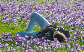 La alimentación saludable nos aporta la energía que perdemos al inicio de la primavera