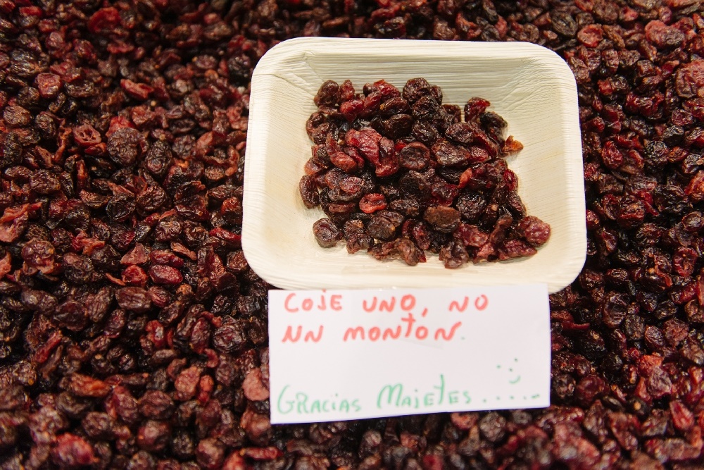 Arándanos “BIO” Que el alimento sea tu medicina.