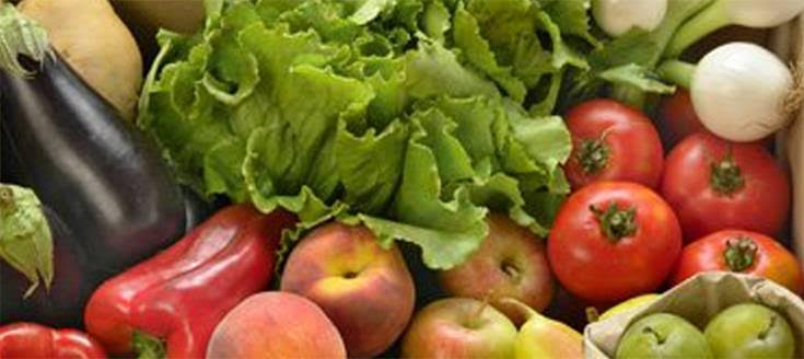 Adolescentes cultivan ‘BIO’ para personas pobres