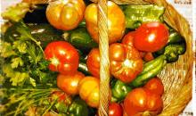 Curso con las últimas tendencias en distribución y promoción de alimentos ecológicos