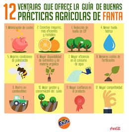 Guía Fanta de buenas prácticas sostenibles en cultivo de cítricos