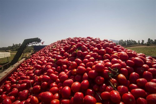 Knorr se ‘apunta’ a la sostenibilidad