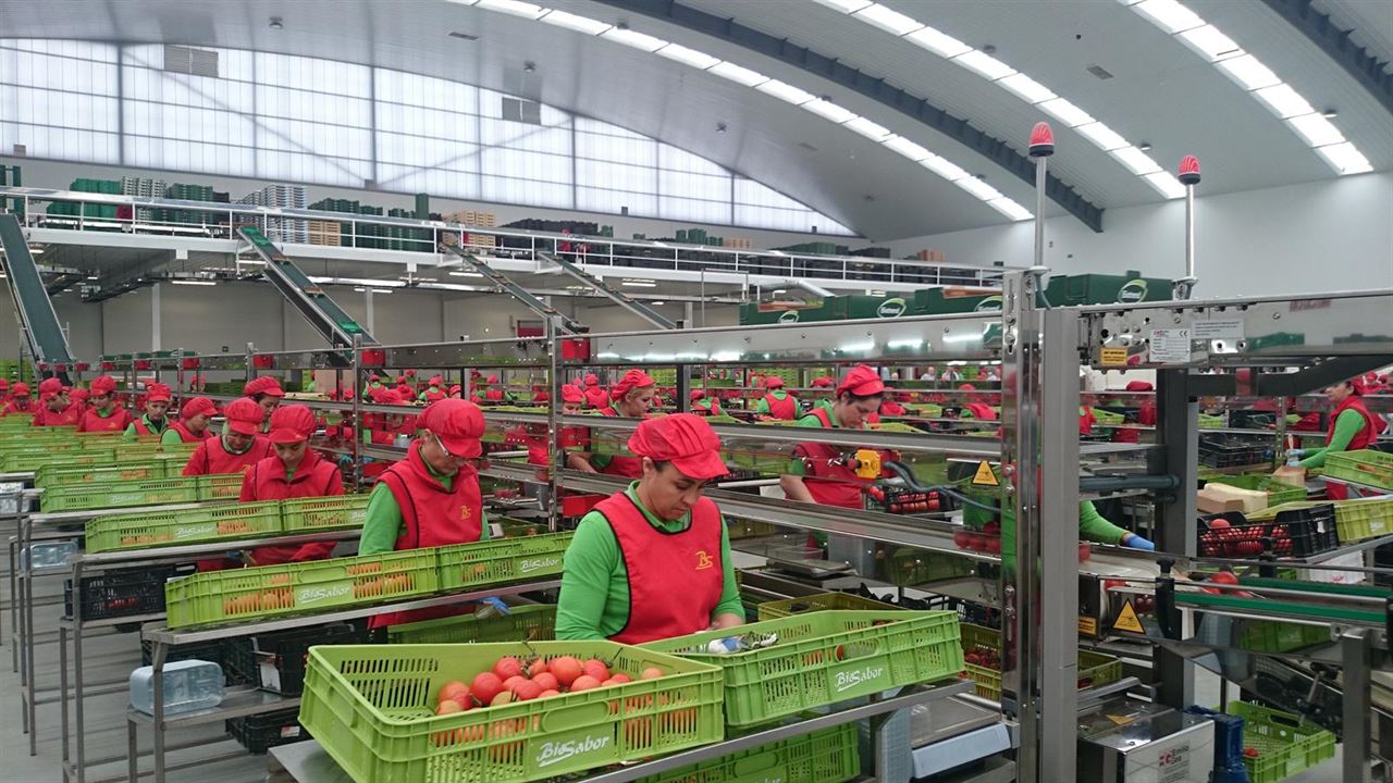 Ecovalia pide llegar a una producción ecológica del 50% en Andalucía