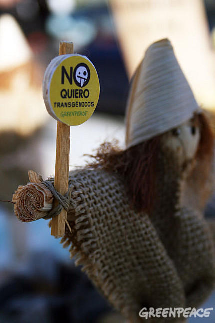 Existen tecnologías alternativas a los transgénicos más baratas y seguras