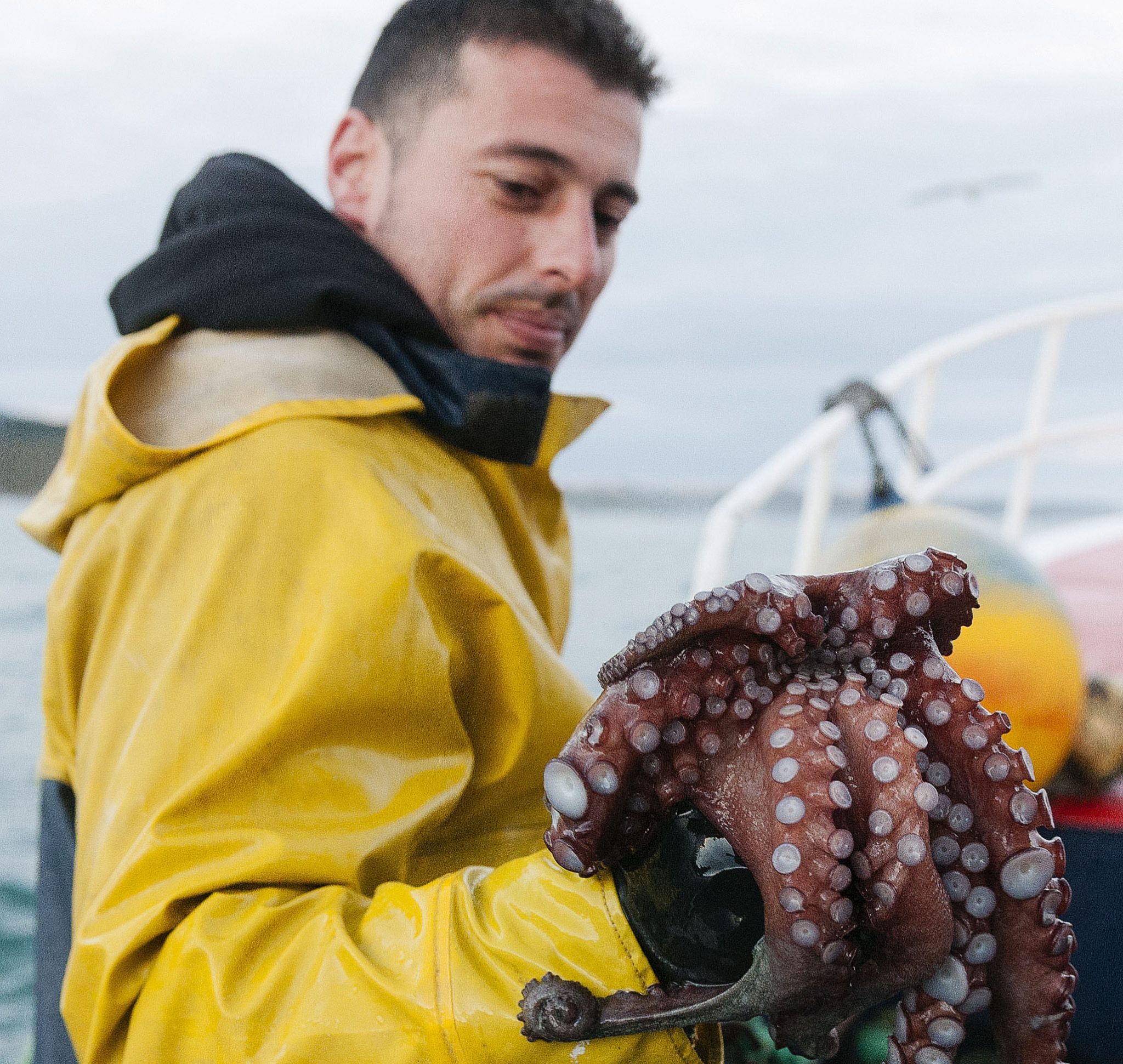 La primera pesquería de pulpo del mundo en someterse a la evaluación del MSC es asturiana