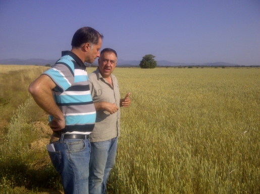 PROYECTO LIFE Pedro Alonso