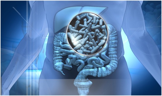 Nutrymin75®: El bioestimulante de la flora intestinal que lucha contra el efecto invernadero