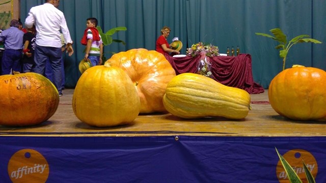 Un vecino de Umbrete (Sevilla) cultiva una calabaza de "aproximadamente 100 kilos"