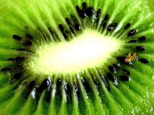 ‘Por una agricultura sostenible