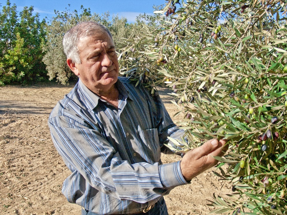 PUNTDESABOR Productos valencianos físicamente y online
