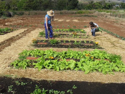 Cerca de 600 vecinos de Tegueste (Tenerife) participan durante 2010 en un programa sobre formación agrícola