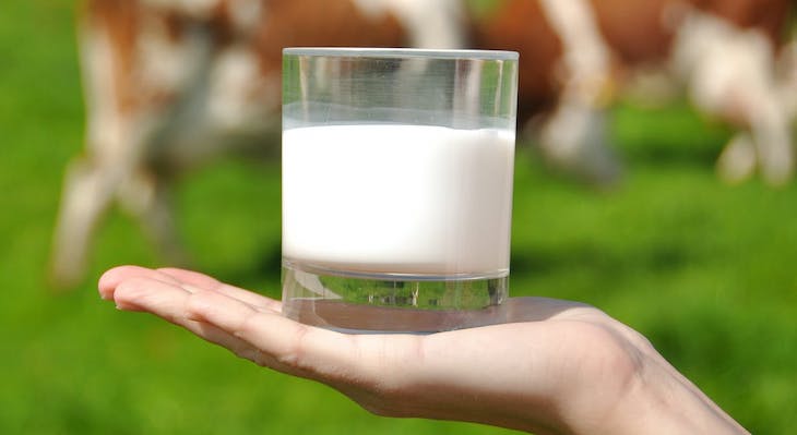 Las grasas lácteas son buenas para el corazón