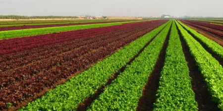 Andalucía. Fiscal destaca el compromiso de la Junta para facilitar el riego de cultivos agrícolas en el Andévalo Transfronterizo