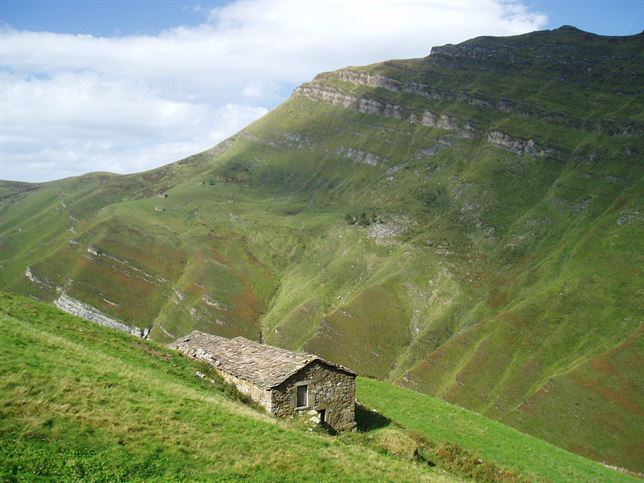 Ganadería ecológica + Montaña Pasiega: ‘ÉXITO’