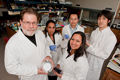 Importante avance en la capacidad de las baterías de litio: nano poros de silicio