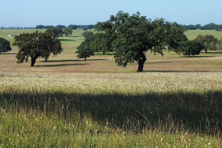 Más asesoramiento a empresarios de la Red Natura 2000