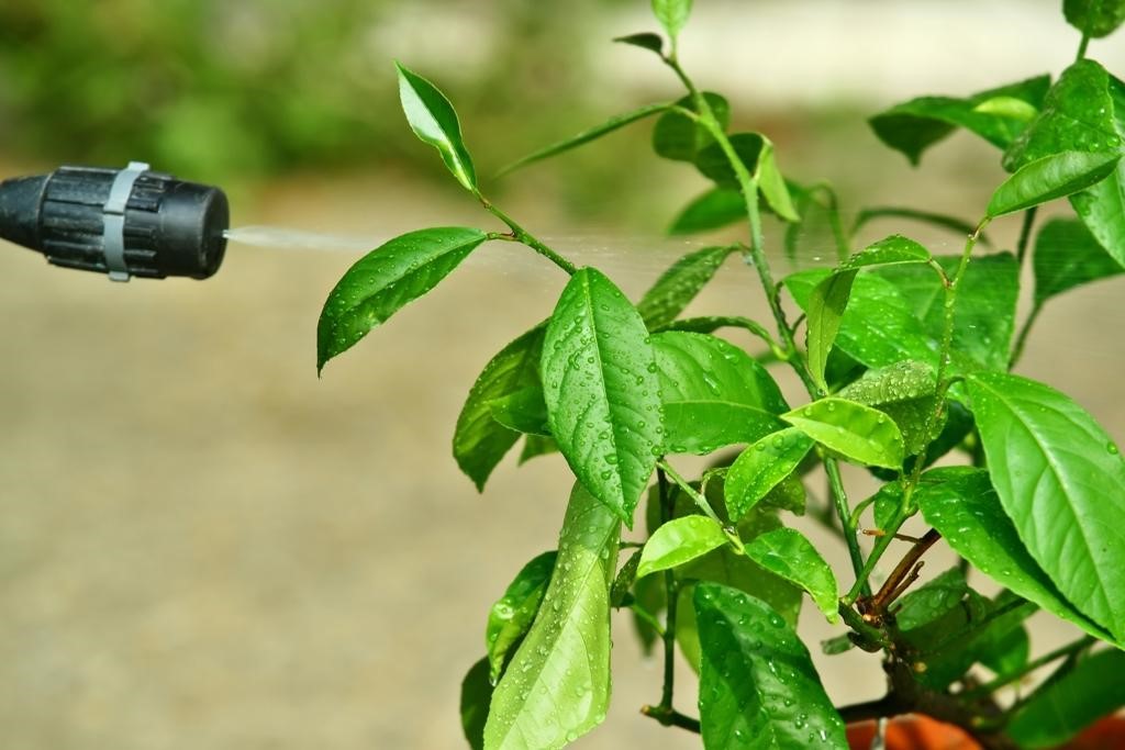 España lidera la venta y aplicación de agroquímicos en Europa