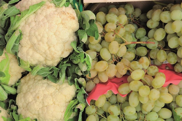 España ‘arrasa’ en superficie dedicada a producción ecológica