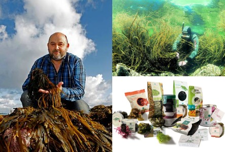 Algas y conservas ecológicas ‘Portomuiños’