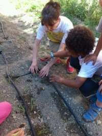 II Concurso Nacional de Huertos Escolares Ecológicos