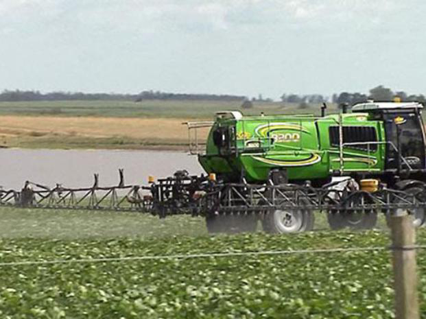 La justicia argentina admite una demanda colectiva ambiental contra los ‘transgénicos’