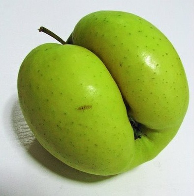 Arias Cañete cree que se necesitan más transgénicos