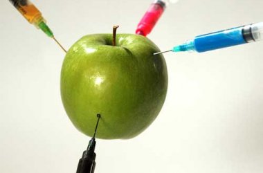 Jorge Riechmann: Los transgénicos son una parte de la insostenibilidad del sistema agrario actual