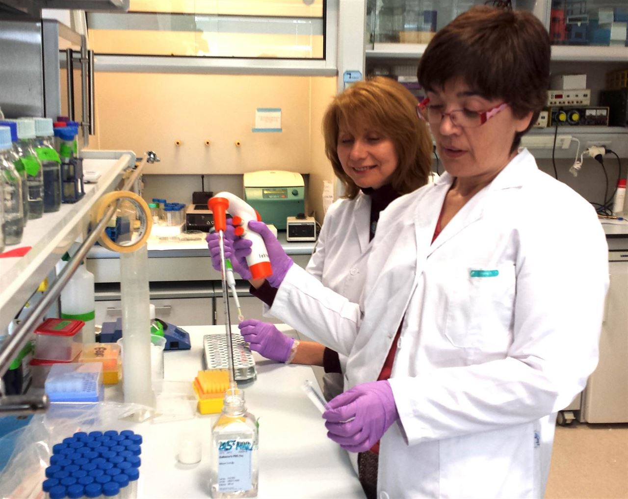 La vitamina D y los factores ambientales