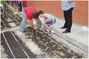 I Certamen de Huertos Escolares ecológicos de la Región de Murcia
