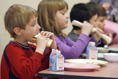 Alimentos ecológicos para los comedores escolares en La Rioja
