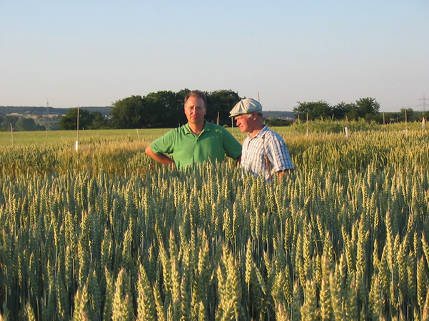 Las agroindustrias ecológicas en Andalucía crecen más de un 170%