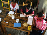 Salvando el maíz maya