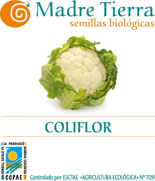 Semillas ecológicas coliflor madre tierra