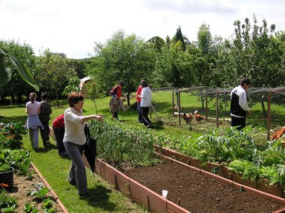 Zaragoza implementará huertas ecológicas en San Gregorio