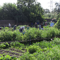 Santa María de Cayón estrena huertos ocupacionales sostenibles