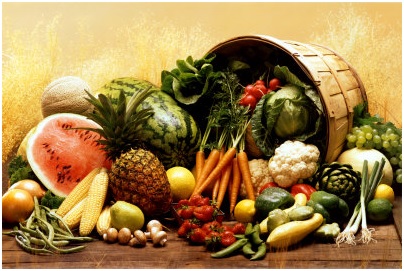 Los inicios del reparto de frutas y hortalizas ecológicas