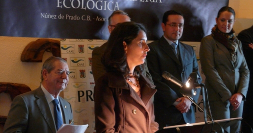 El olivar adehesado con ovino