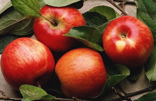 Curso de marketing de alimentos ecológicos en Madrid