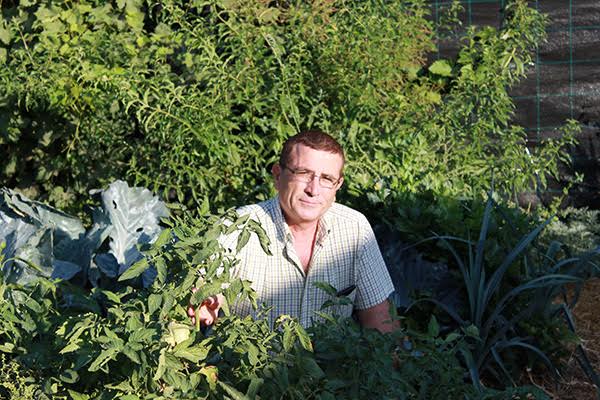 Tu huerto biodinámico en unos pasos