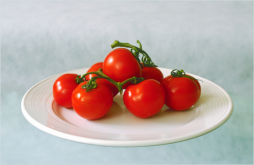 La Comisión Europea autoriza ayudas para mejorar los invernaderos de producción de tomate